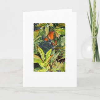 Carte Les oranges sur l'arbre crayonnent extra sec