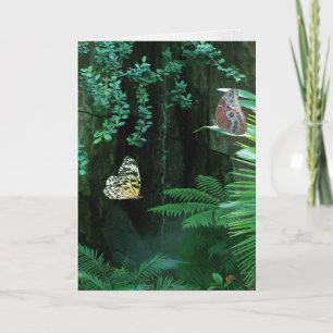 Carte Les papillons sympathiques dans un jardin