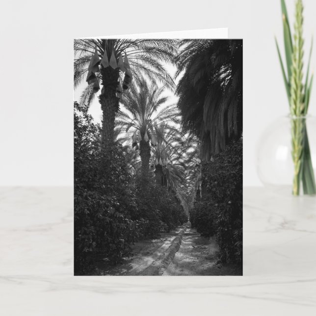 Carte Les paumes et les arbres oranges s'approchent de (Devant)