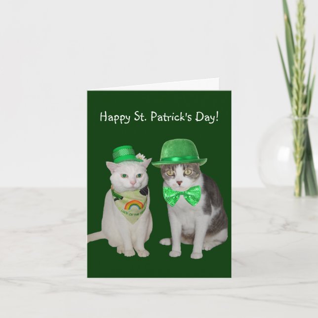 Carte Les petits chats qui Recherché être irlandais (Devant)