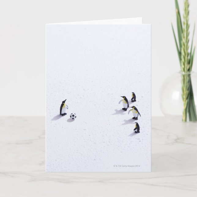 Carte Les pingouins jouant au football (Devant)