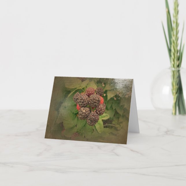 Carte Les Raspberries noires (Devant)