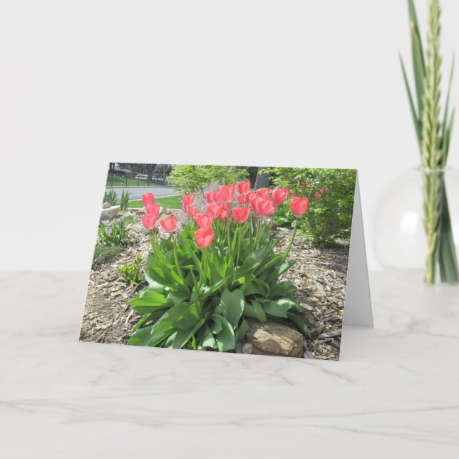 Carte Les Tulipes S'En Sortent Rapidement (Devant)