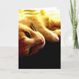 Carte Les yeux de l'ange