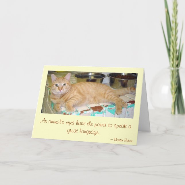 Carte Les yeux d'un animal (Devant)