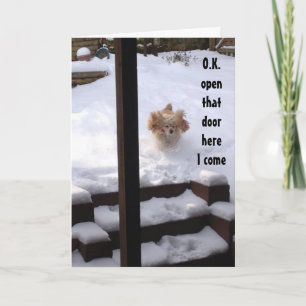 CARTE L'ESPAGNOL EST PRÊT À DIRE ***JOUR D'ANNIVERSAIRE*