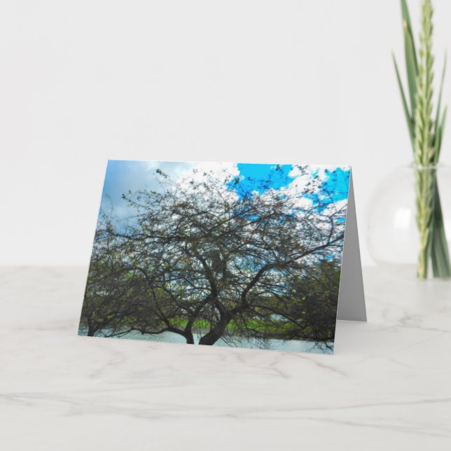 Carte L'ESSAI de la feuille de présence (Devant)