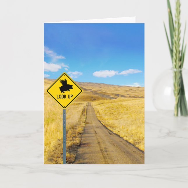 Carte Levez Vos Yeux Pour Les Porcs Peut Voler (Devant)