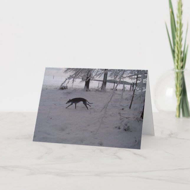 Carte lévriers dans la neige (Devant)