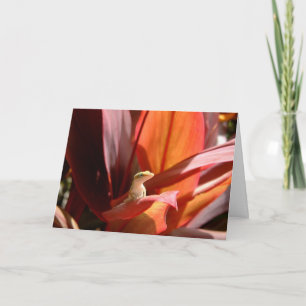 Carte Lézard de Kauai