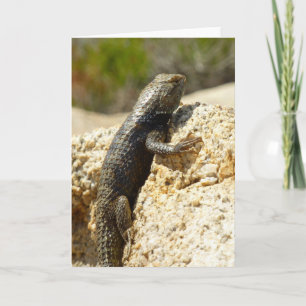 Carte Lézard épineux à dos jaune à Joshua Tree