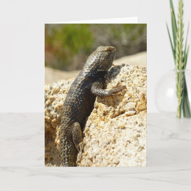 Carte Lézard épineux à dos jaune à Joshua Tree (Devant)