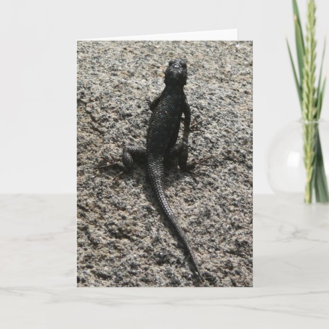 Carte Lézard noir (Devant)