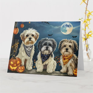 Carte Lhasa Apso Halloween Éffrayant