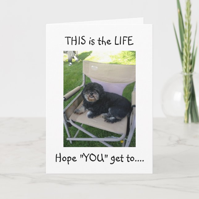 Carte LHASA VEUT QUE VOUS PROFITIEZ DE VOTRE "40ème !" (Devant)