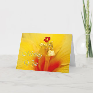 Carte L'Hibiscus jaune vous manque