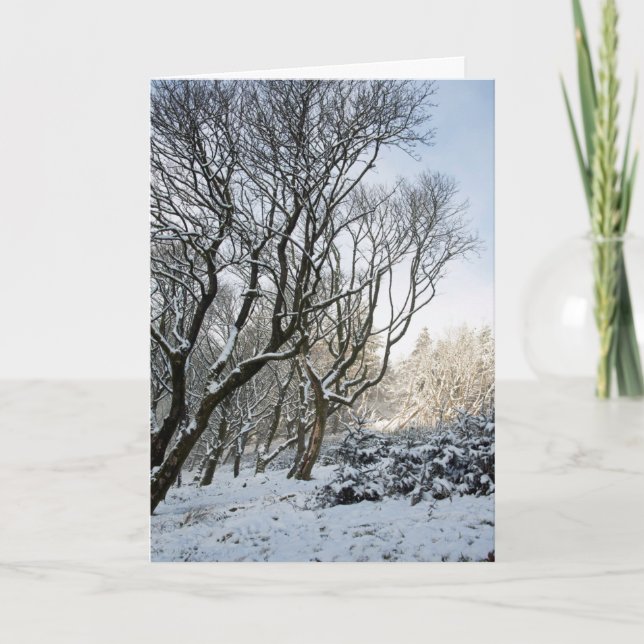 Carte L'hiver de la forêt de Macclesfield (Devant)
