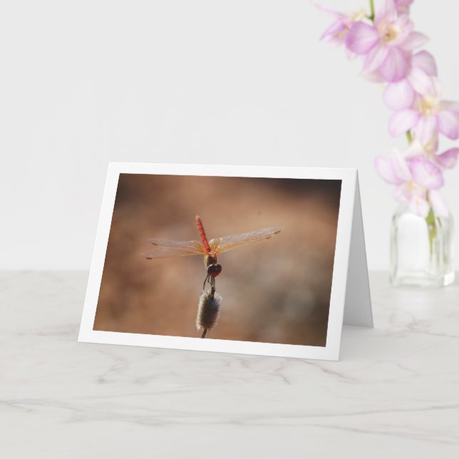Carte libellule à ailes orange (Orchidée)