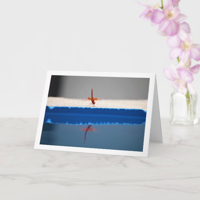 Carte libellule à ailes orange (Orchidée)