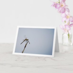 Carte libellule avec bâton de canne