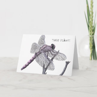 Carte Libellule (effectuez le vol.)