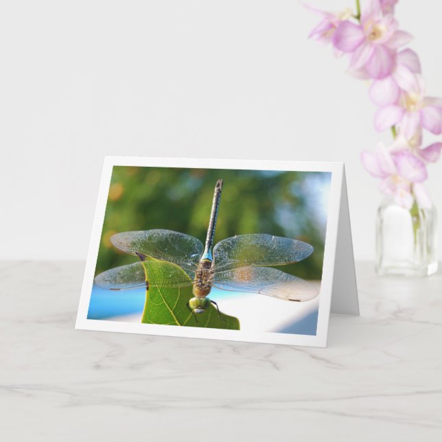 Carte Libellule sur feuille verte (Orchidée)