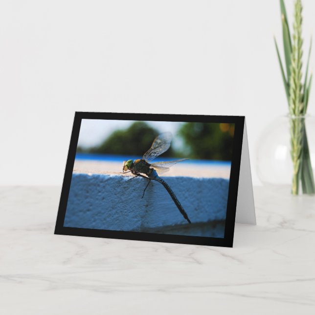 Carte Libellule sur le rebord (Devant)