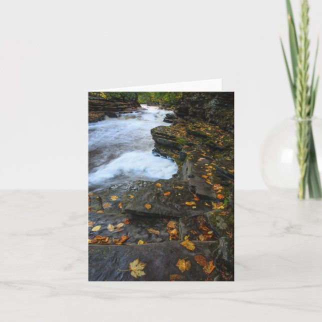 Carte Libéré (Devant)