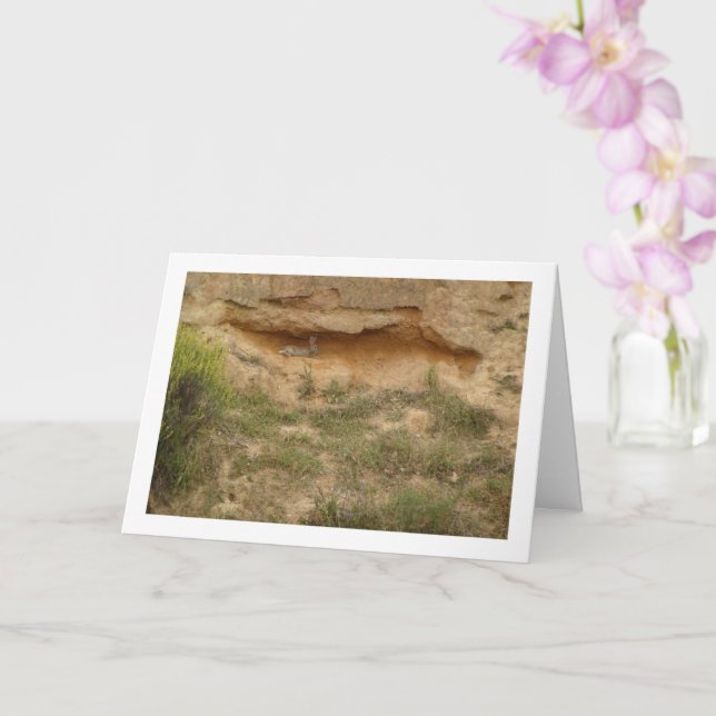 Carte Lièvre dans la grotte de Canyon (Orchidée)