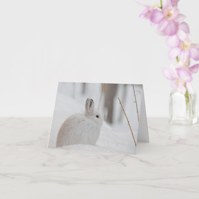 Carte Lièvre de raquette en neige (Orchidée)