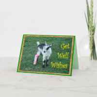 Lil Bunny Obtenez une bonne personnaliser