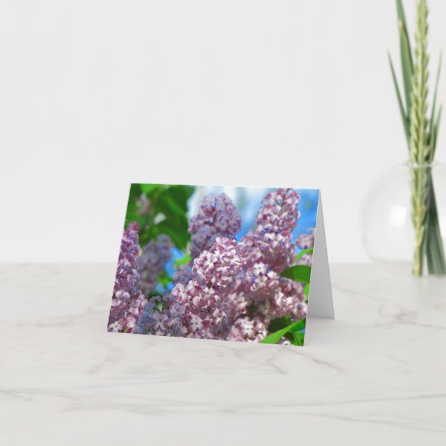 Carte Lilac 1 (Devant)