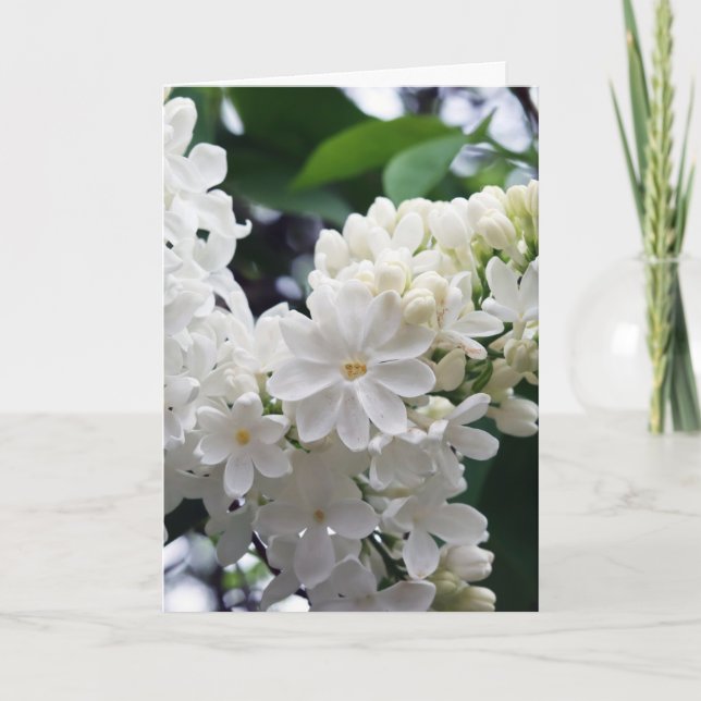 Carte Lilac blanc vierge (Devant)