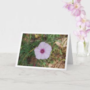 Carte Lilac Morning Glory, Fleur sauvage de Mallow Bindw