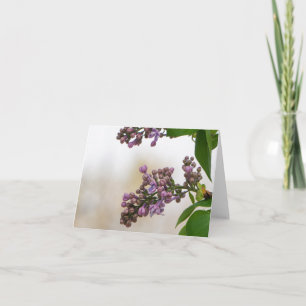 Carte Lilacs au printemps