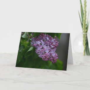 Carte Lilas