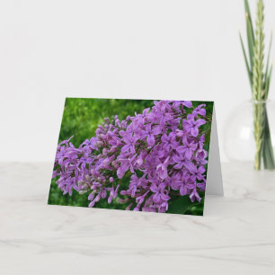 Carte Lilas violet romantique élégant violet photo flora