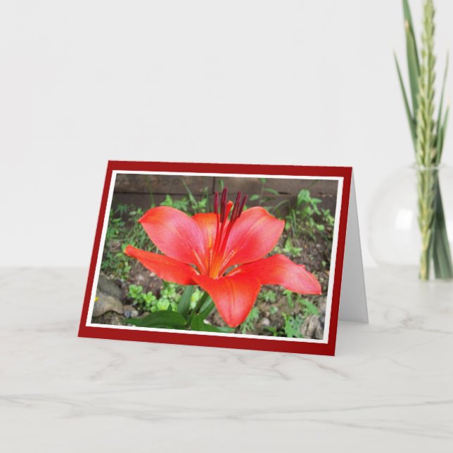 Carte Lilie rouge 1 (Devant)