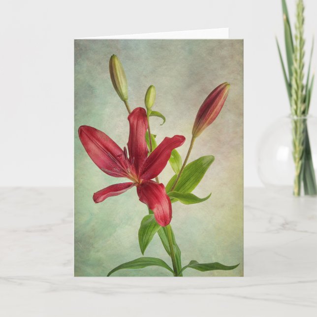 Carte Lilium asiatique (Devant)