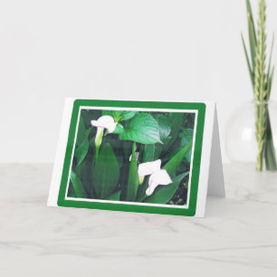 CARTE LILLIES BLANC