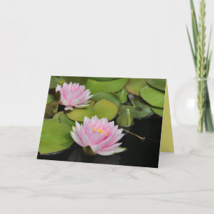 Carte Lillies d'eau