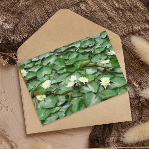 Carte Lillies d'eau