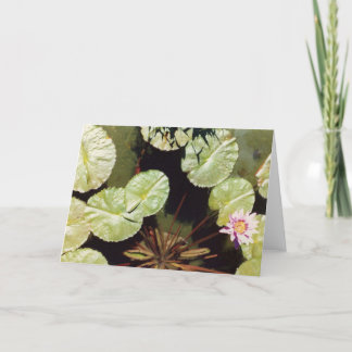 Carte Lillies d'eau 02