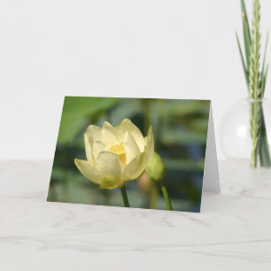 Carte Lilly Lotus