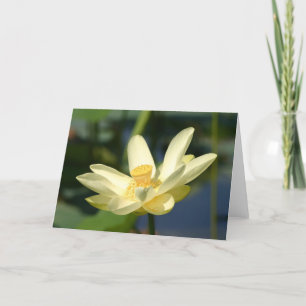 Carte Lilly Lotus