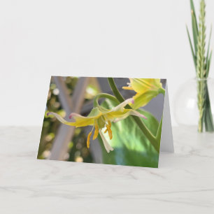 Carte Lily jaune vierge