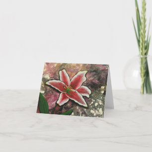 Carte Lily le rose Lily