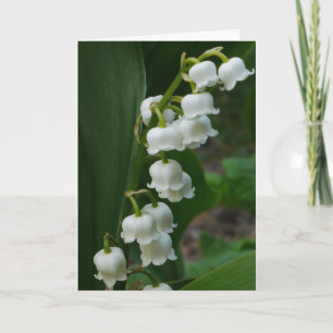 Carte Lily-of-the-Valley