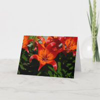Lily orange rose foncé