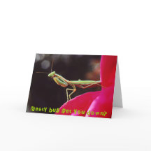 L'insecte méchant vous descendent ?